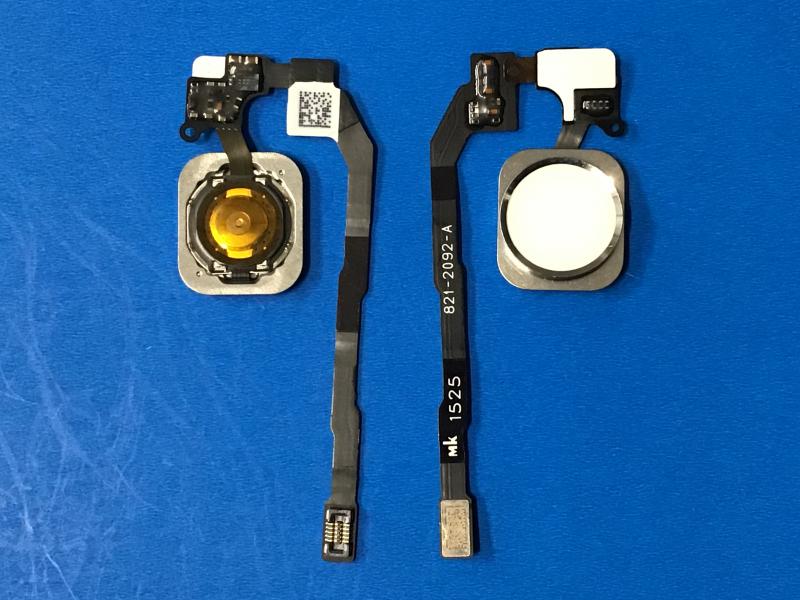 FLEX BOTON HOME SENSOR DE HUELLA IPHONE 5GS 5S BLANCO